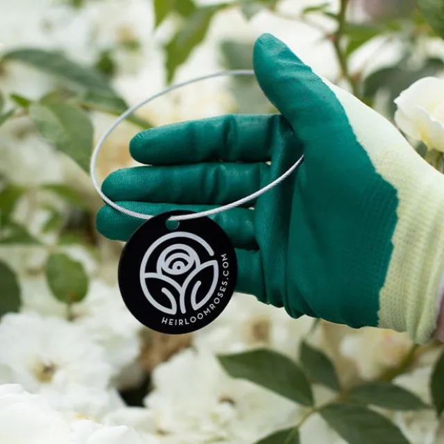 Apothecary's Rose Tag