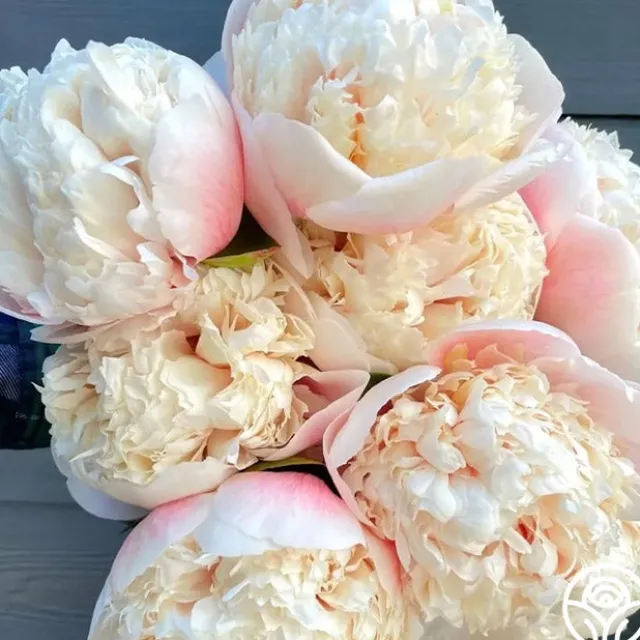 Colonel Owen Cousins