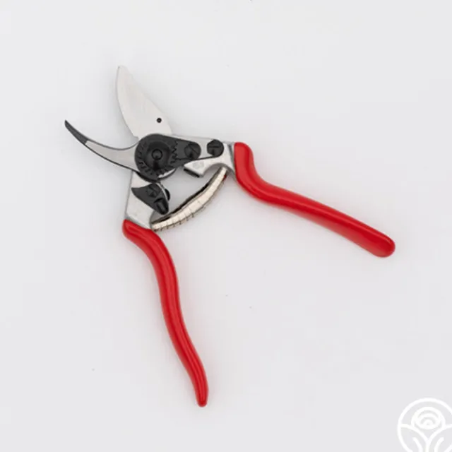 Felco 6 Pruners