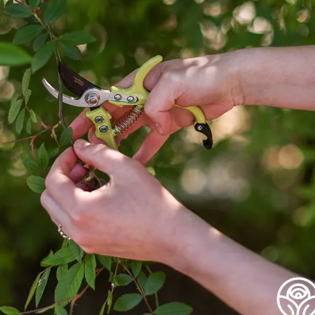 Flora Bypass Pruners