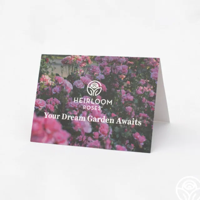 Heirloom Roses Gift Card (Tangible)