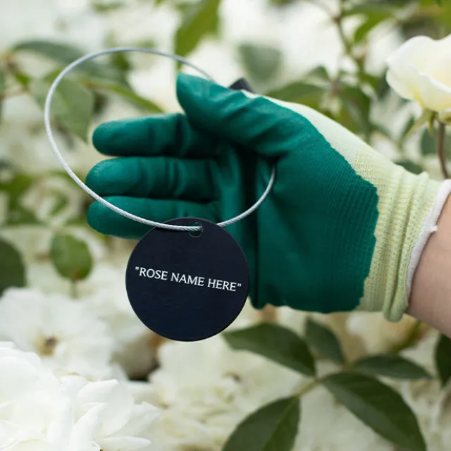 Lady Elsie May™ Tag