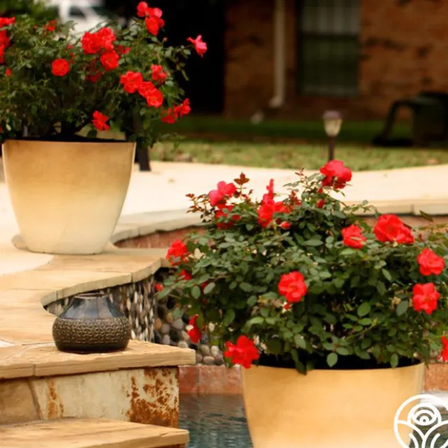 Miracle On The Hudson®