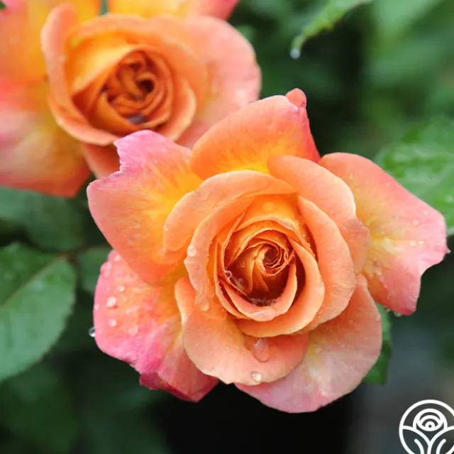 Rosie the Riveter™