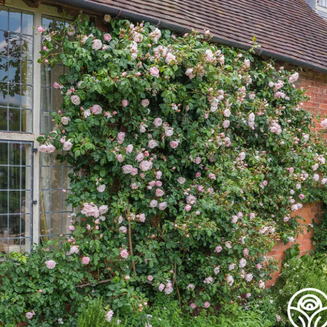 The Generous Gardener™