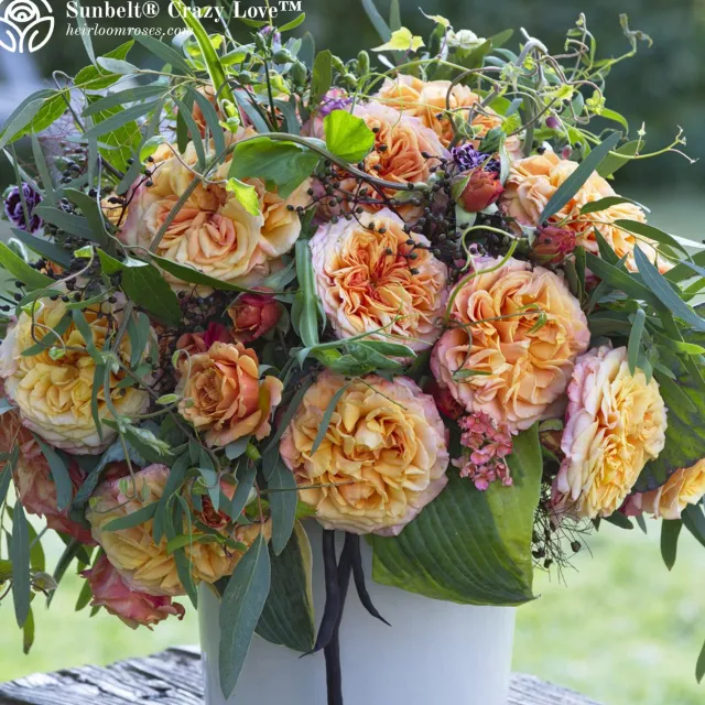Vibrant Bouquet Collection